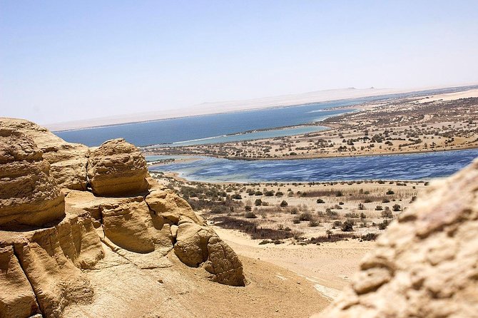 Full-Day Fayoum Oasis and Waterfalls of Wadi El-Rayan Tour from Cairo - Lake Qarun: saltwater, birds, and broad desert views