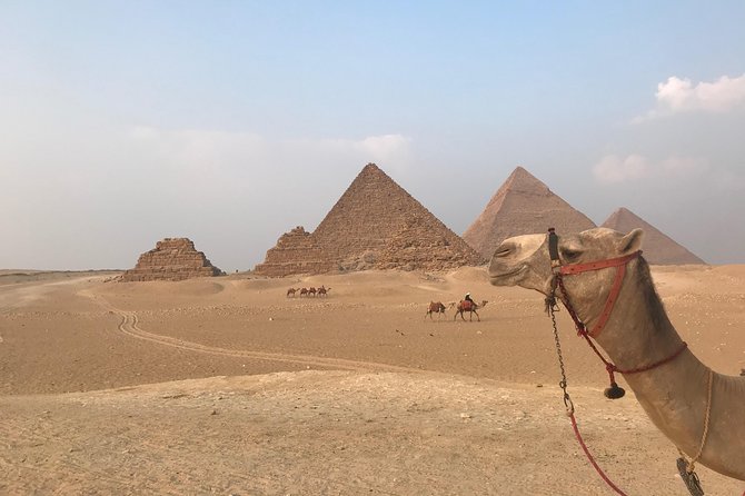 Full-Day Giza Pyramids and Egyptian Museum Private Tour - Why this private Cairo day makes sense