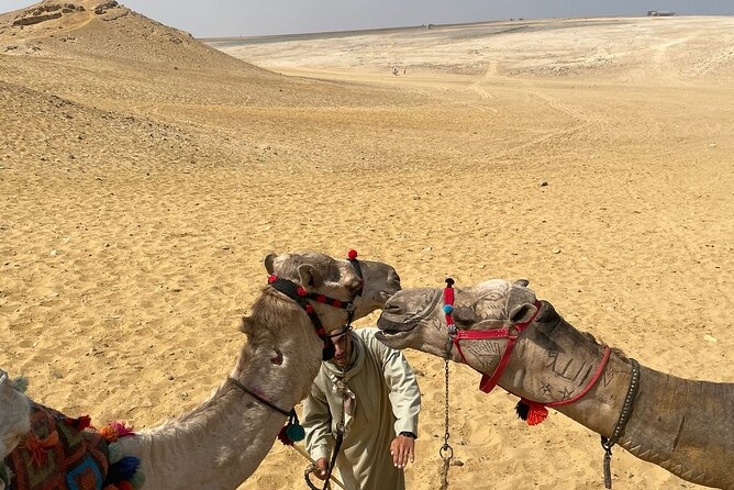 Full Day Private Guided Tours to Pyramids & Sphinx - Transport, comfort, and group size