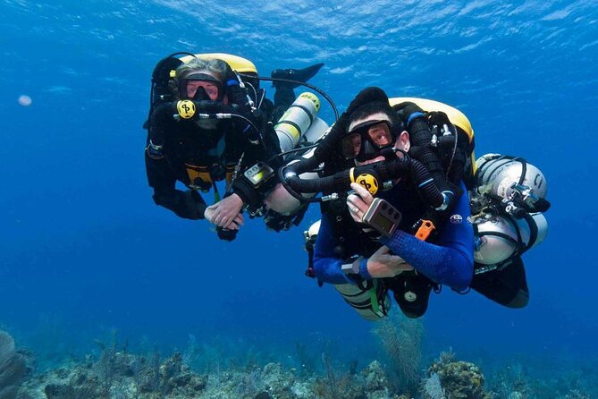 Full-day Scuba Diving Experience for Beginners & Lunch - Sharm El Sheikh - Key points before you book