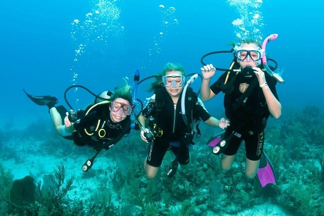 Full-day Scuba Diving Experience for Beginners & Lunch - Sharm El Sheikh - Starting the day with hotel pickup at 8:00 a.m.