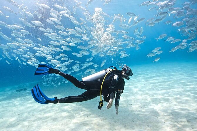 Full-day Scuba Diving Experience for Beginners & Lunch - Sharm El Sheikh - The crew, boat, and general atmosphere