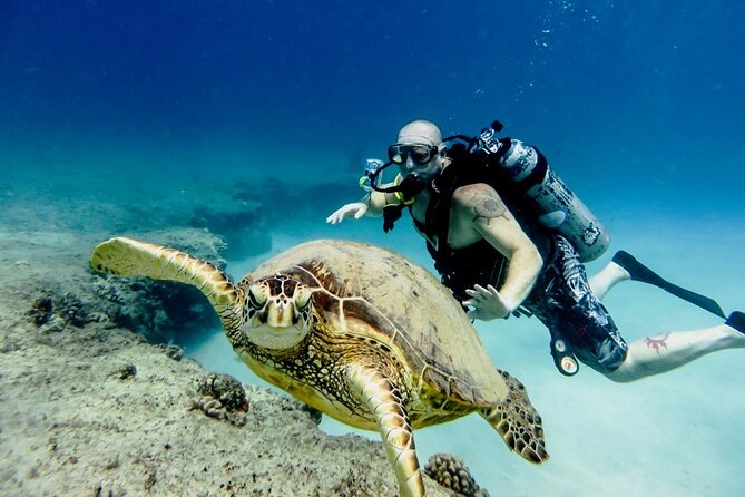 Full-day Scuba Diving Experience for Beginners & Lunch - Sharm El Sheikh - Safety training for first-time scuba participants