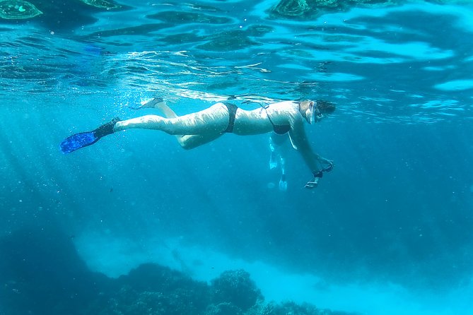 Full-Day Snorkeling with Dolphins in Hurghada with Lunch - Weather, wind, and getting back aboard