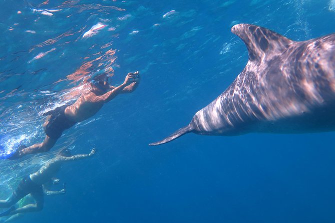 Full-Day Snorkeling with Dolphins in Hurghada with Lunch - Who will enjoy this trip most