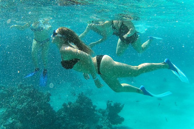 Full-Day Snorkeling with Dolphins in Hurghada with Lunch - Searching for dolphins in open water