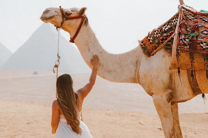 Full Day Tour Giza Pyramids, Sphinx, Saqqara &Dahshur Pyramids - Why this Cairo pyramid day is worth your time