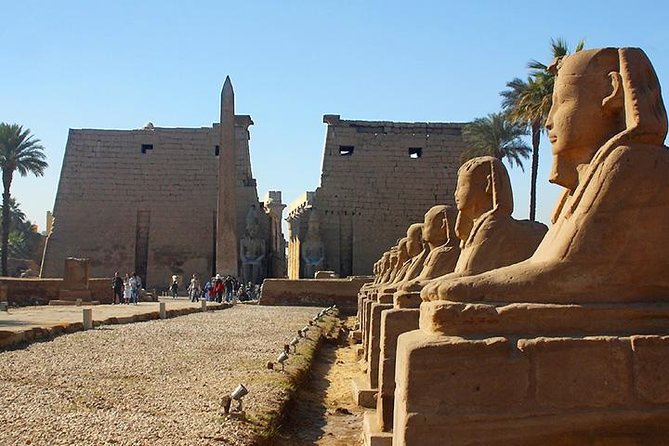 Full Day Tour to Luxor (East & West Bank) - Karnak Temple: the biggest scale of the day