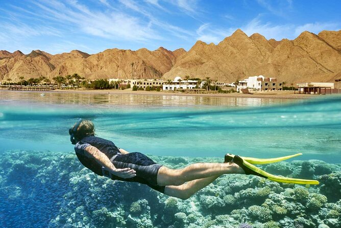 Full Relaxing Day To The Red Sea From Cairo Or Giza Hotel - Arriving at Ain Sokhna around 9:00 am