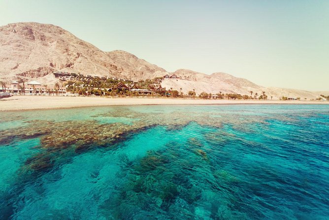 Full Relaxing Day To The Red Sea From Cairo Or Giza Hotel - The return to Cairo, usually between 3:00 and 5:00 pm