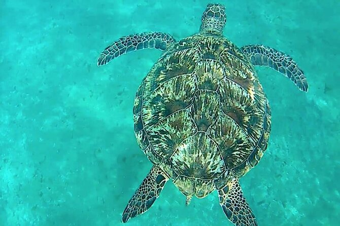 Giftun Island ( Orange bay ) from Hurghada - One hour at Giftun Island and Orange Bay