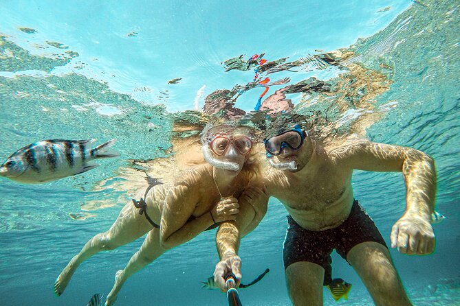Giftun Islands Snorkeling Trip with Lunch and Water Activities - What $15 really gets you