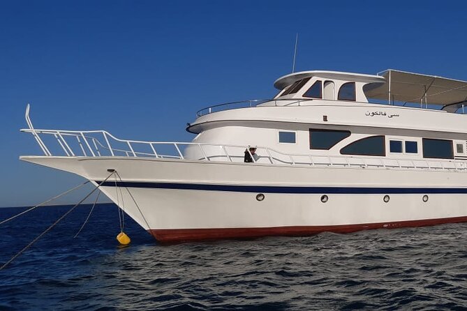 Giftun Islands Snorkeling Trip with Lunch and Water Activities - Who will enjoy this Giftun Islands day