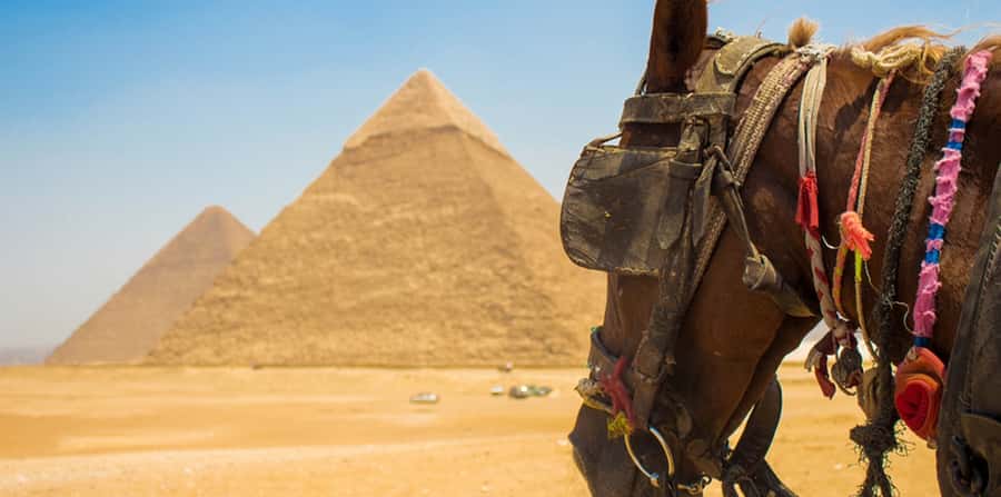 Giza: Arabian Horse Tour Around the Giza Pyramids - Is two hours enough?