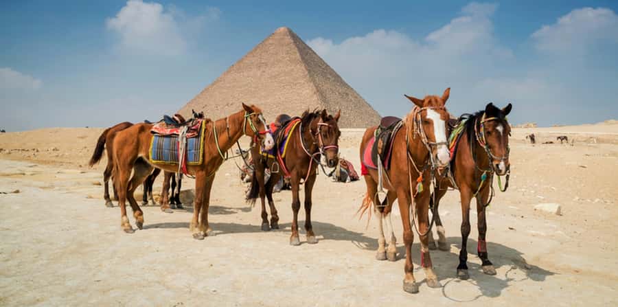 Giza: Arabian Horse Tour Around the Giza Pyramids - Approaching the Great Sphinx