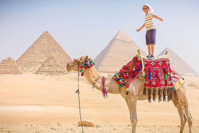 Giza Pyramids and Sakkara Tour - The Great Sphinx: a short stop with a big subject