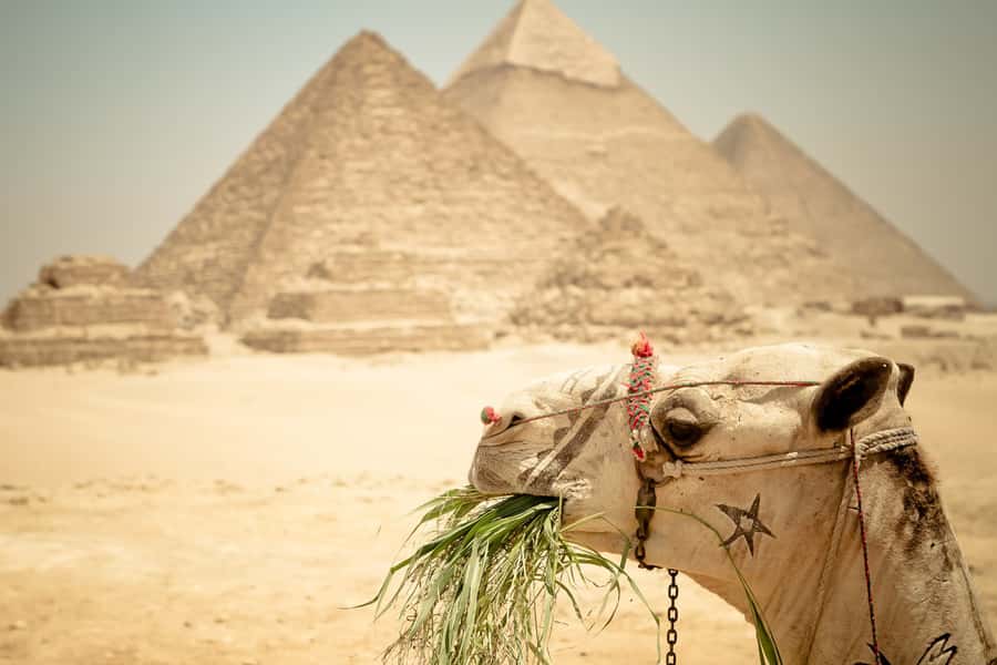 Giza Pyramids and Sphinx: Half-Day Private or Group Tour - Booking details worth checking