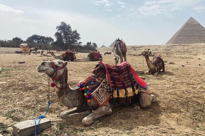 Giza Pyramids,Sphinx,Camel Ride,ATV Bike,Shopping, Dinner cruiseI - Meeting the Great Sphinx