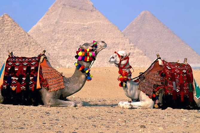 Giza Pyramids, Sphinx, Memphis, Saqqara, with private tour guide - Memphis and the colossal Ramses statue