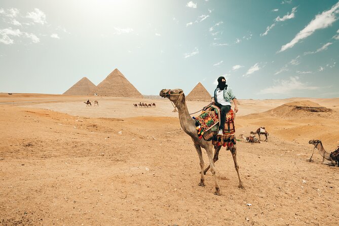 Giza Pyramids , Sphinx ,Saqqara and Memphis Private Tour - Memphis and the Colossus of Ramses II