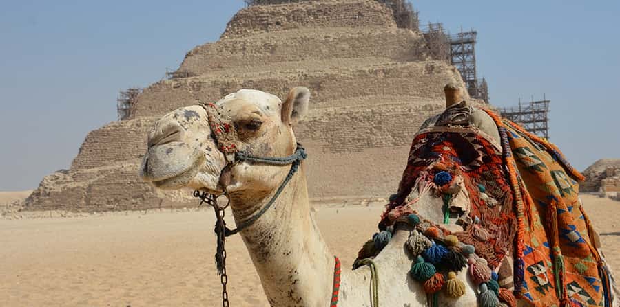 Giza: Sakkara, Memphis & Dahshur (Pyramid & Felucca Options) - The felucca ride is a smart ending