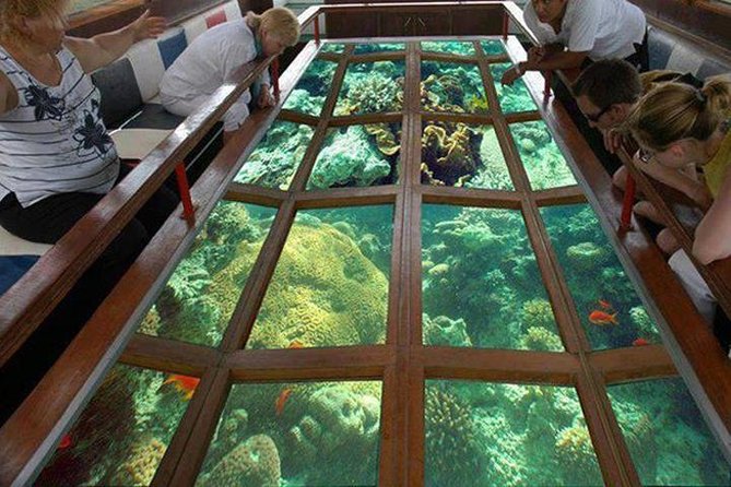 Glass Bottom Boat Excursion in Sharm El Sheikh - Quick facts about the Red Sea glass bottom boat