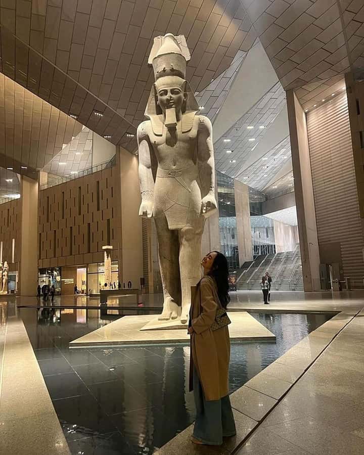 Grand Egyptian Museum Private Guided Tour(GEM) - Who should book this museum tour?