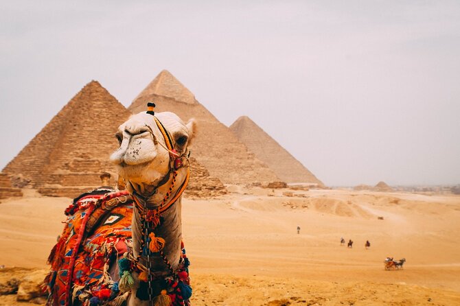 Half day at the pyramids and the Sphinx - Who should book this Giza visit?