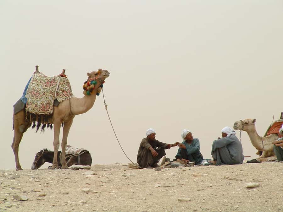 Half-Day Cairo Sightseeing Tour to Pyramids of Giza & Sphinx - Key points to know before booking