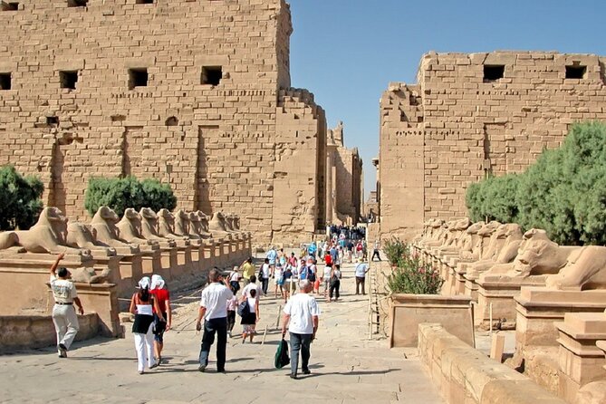 Half Day East Bank Tour to Luxor and Karnak Temples (Private) - Private transport, pickup, and guide service