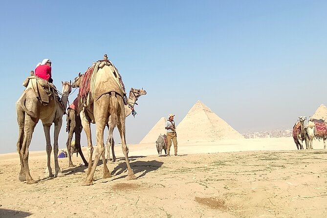 Half day Giza pyramids and Sphinx tour with an Egyptologist - The panoramic viewpoint is built for memorable photographs
