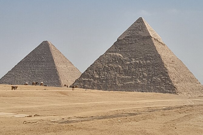 Half day Giza pyramids and Sphinx tour with an Egyptologist - The Sphinx and valley temple complete the visit