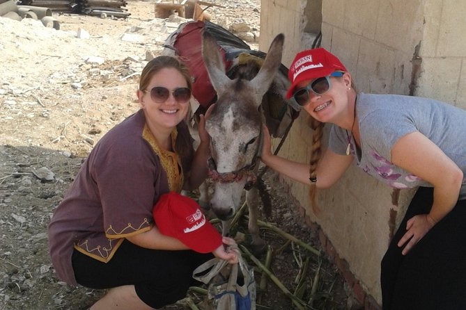 Half-Day Saqqara Pyramids and Memphis Tour from Cairo - What the guide adds to the four-hour visit
