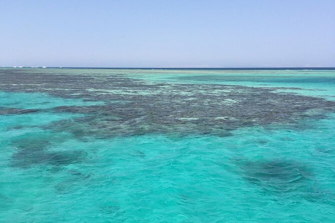 Half day snorkeling trip in Ras Mohammed Sharm El Sheikh - Mangrove trees, Mangarof Rocks, and Wizard Lake