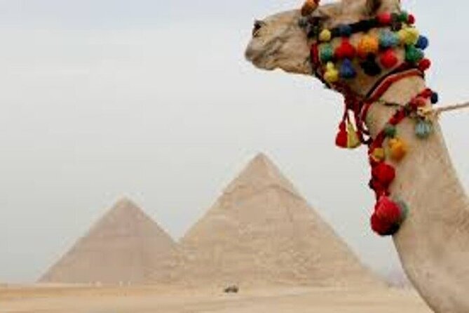 Half Day Tour To Giza Pyramids And Sphinx - The guide’s role in making the monuments meaningful