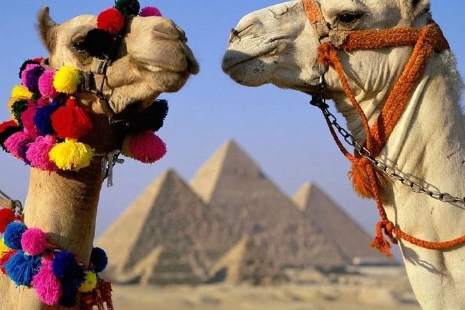 Half Day Tour to Giza Pyramids & Sphinx - Why this works well for a short Cairo stay