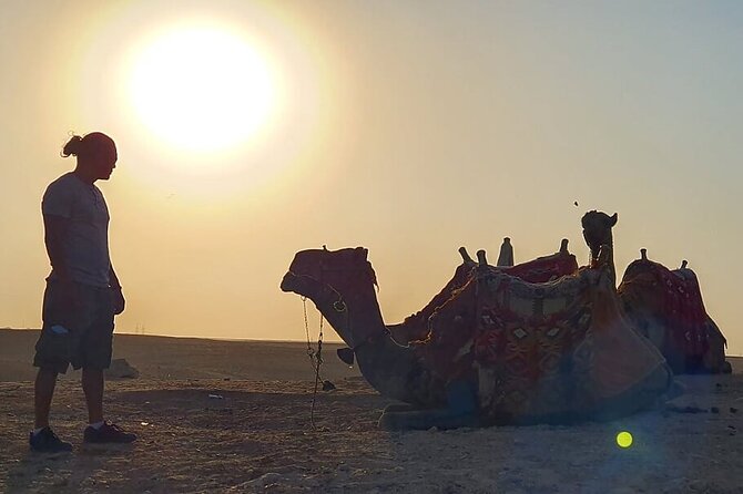 Half-day Trip to Pyramids and the Sphinx with Camel ride - Lunch, return transport, and the real cost