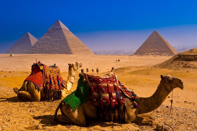 Half dayTour Pyramids of Giza Sphinx including Camel ride - The guides can make or break the morning