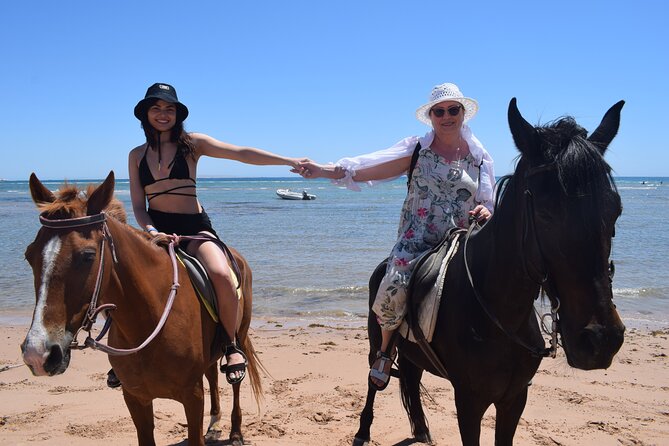 Horse Riding 3 Hours Beach, Desert, & Swimming By Horse in red sea - Hurghada - From your Hurghada hotel to the stable