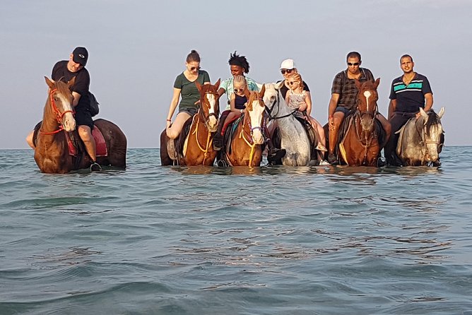 Horse Riding 3 Hours Beach, Desert, & Swimming By Horse in red sea - Hurghada - The first hour: riding across Hurghada’s desert