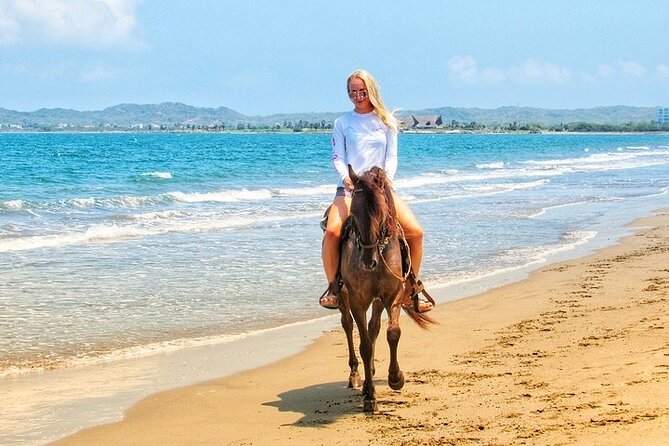 Horse Riding Beach or Desert with transfer from Sharm El Sheikh - Starting with pickup from your Sharm hotel