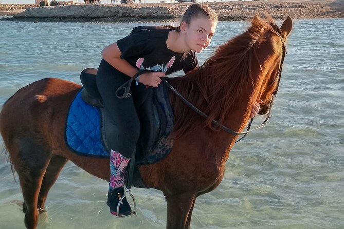 Horse Riding on the Beach And Desert 3 hours From Hurghada - At a Glance: What Matters Most