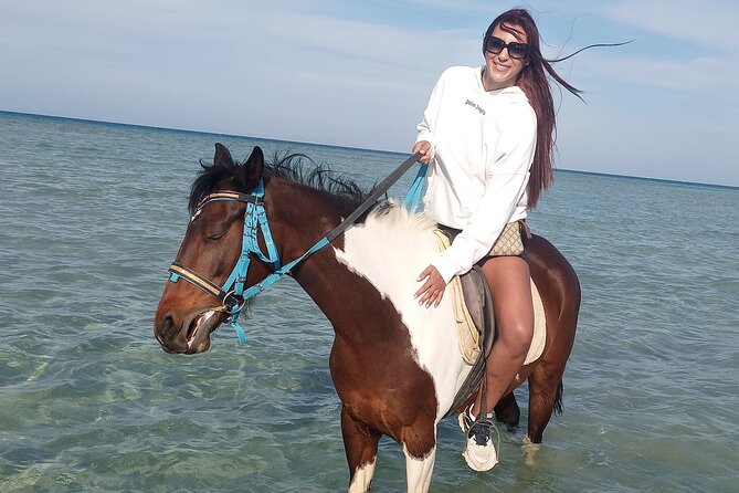 Horse Riding on the Beach And Desert 3 hours From Hurghada - Getting Comfortable With the Horses