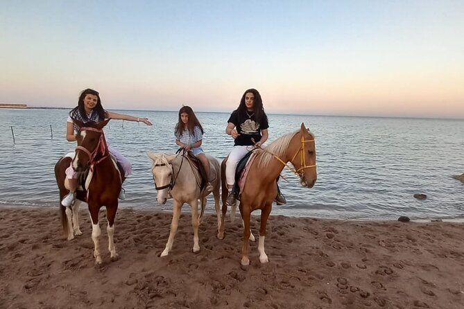 Horse Riding on the Beach And Desert 3 hours From Hurghada - Reaching the Hurghada Beach and Red Sea