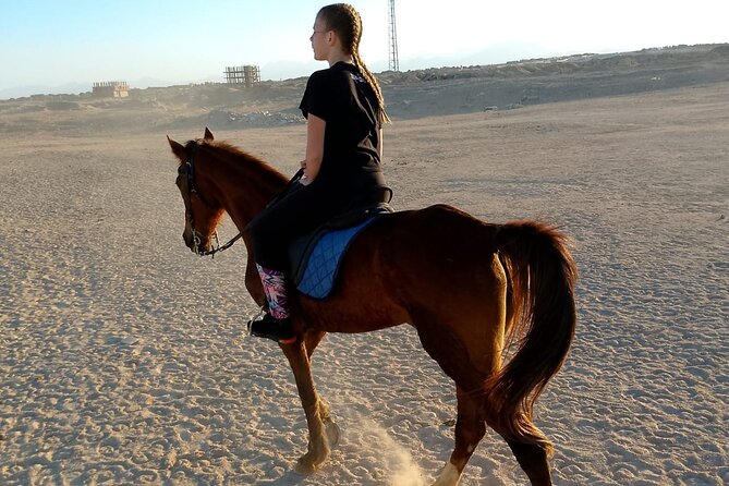 Horse Riding on the Beach And Desert 3 hours From Hurghada - Photos, Videos, and Extra Charges