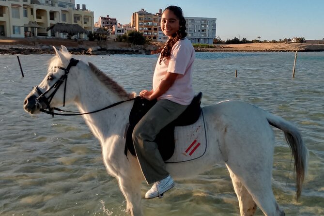 Horse Riding on the Beach And Desert 3 hours From Hurghada - Is the $23 Price Good Value?