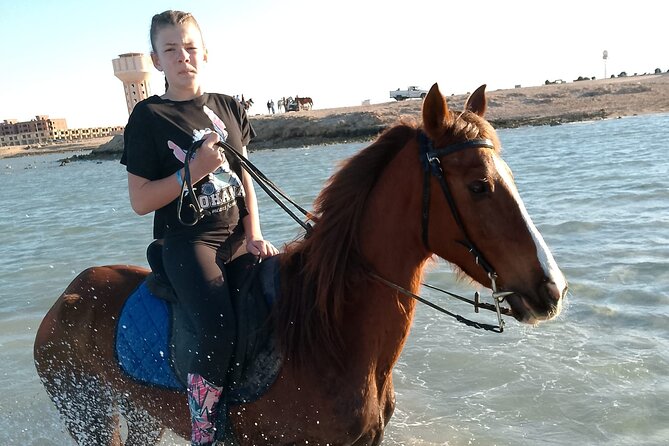 Horse Riding on the Beach And Desert 3 hours From Hurghada - Who Will Enjoy This Horse Ride Most?