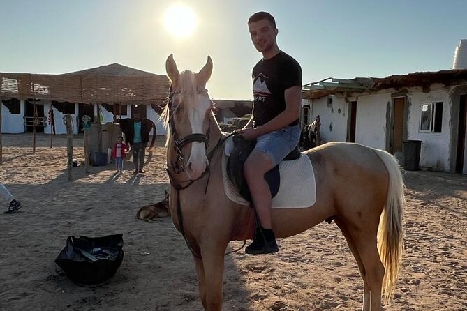 Horse Riding on the Beach And Desert 3 hours From Hurghada - Crossing the Golden Desert for the First Hour