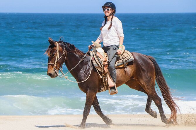 Horse Riding on the beach With Transfer From Sharm El Sheikh - Key points before you book