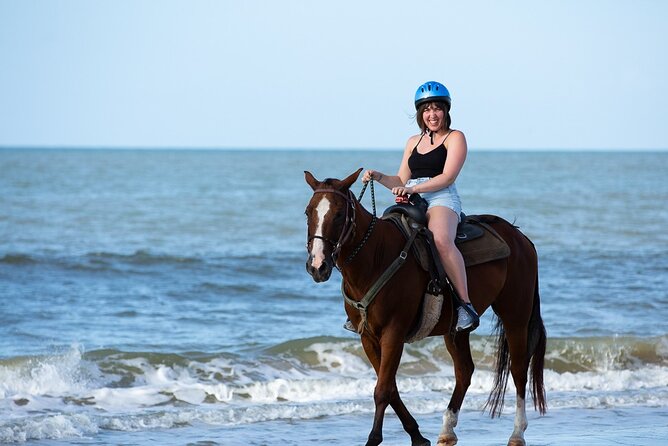 Horse Riding on the beach With Transfer From Sharm El Sheikh - From your hotel to the riding yard